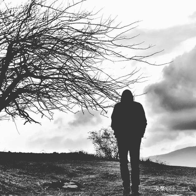 流量岁月里最美的一百首诗歌,献给擦肩而去的2020