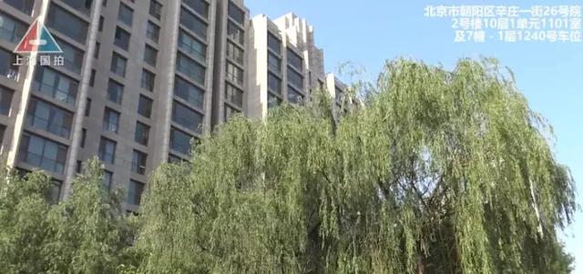 欠债5.3亿！这个女演员名下千万豪宅被上海法院拍卖