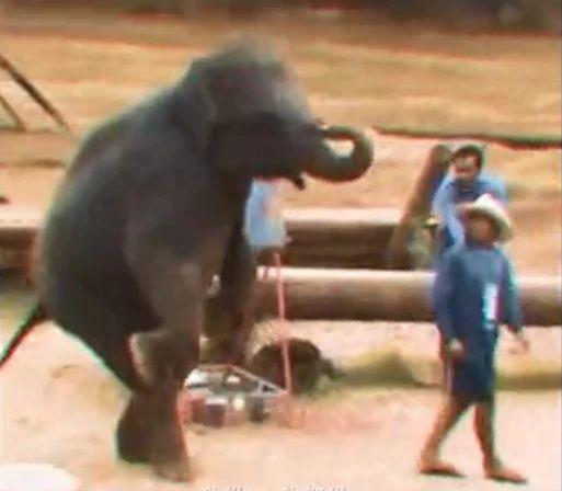 一位47岁美女的受虐实录