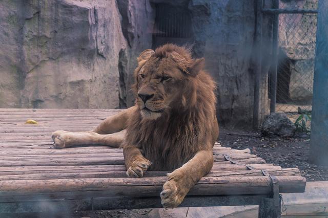 一位47岁美女的受虐实录