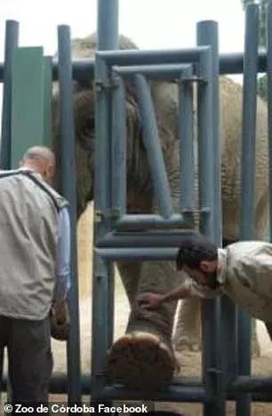 一位47岁美女的受虐实录