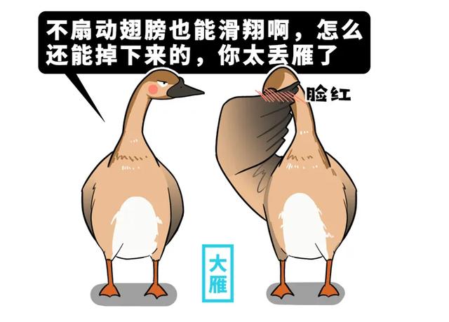 古代四大美女打假指南：四大美女或许只有一个是真实的