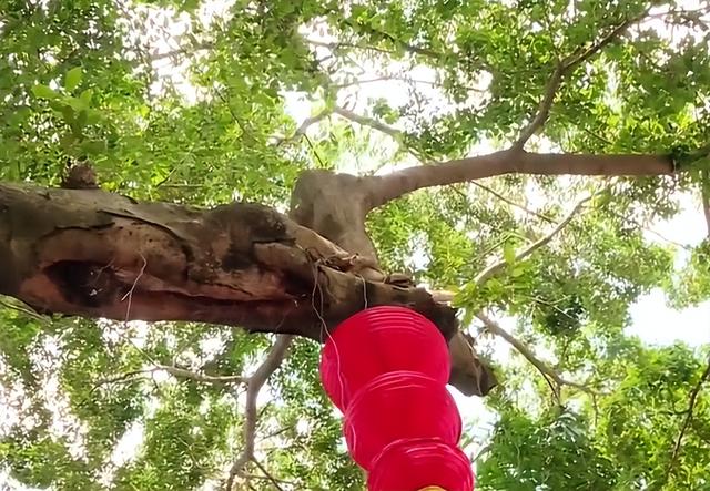 台湾美女替爷爷回大陆寻根，谁料找到老家时，发现爷爷已成独苗