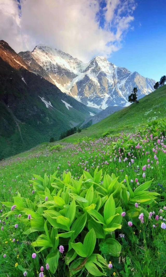 流量岁月里最美的一百首诗歌,献给擦肩而去的2020