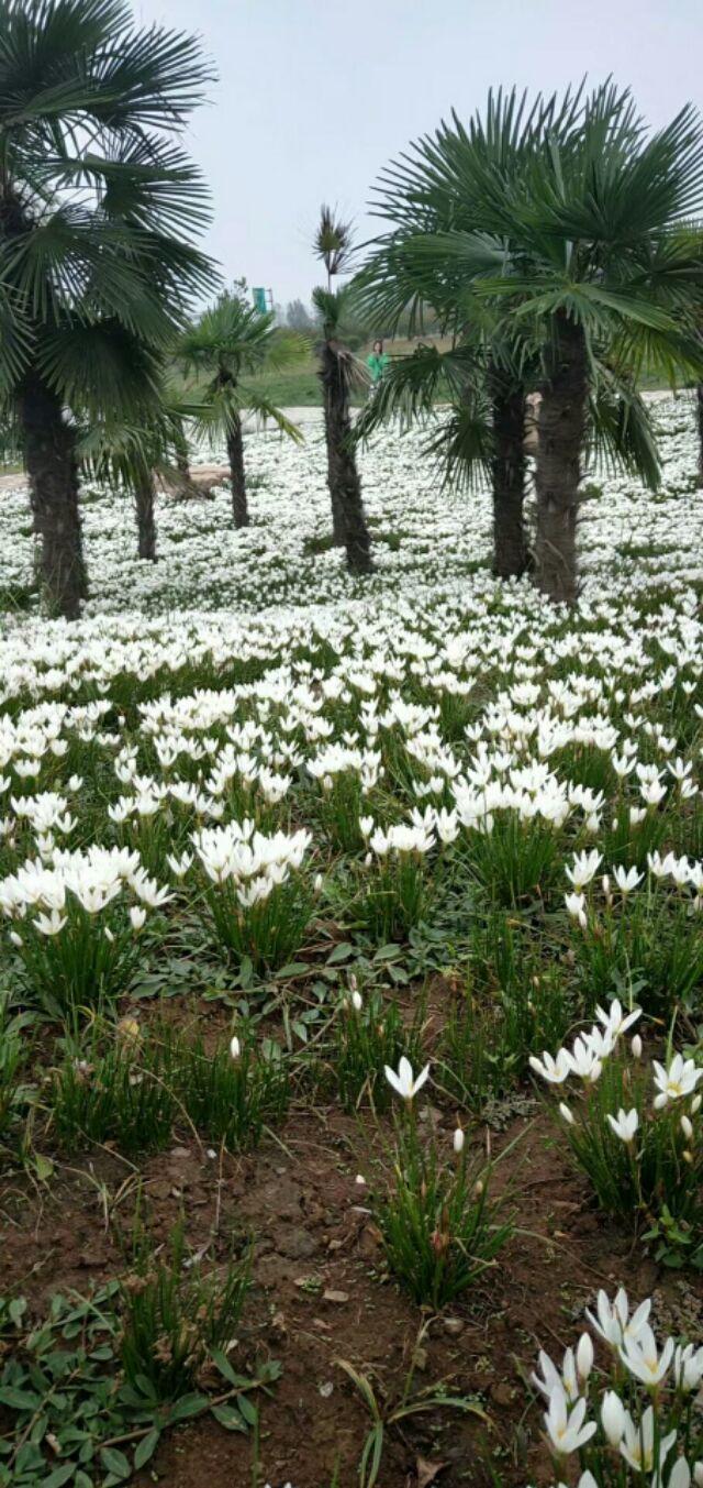 女性难以启齿的尿失禁