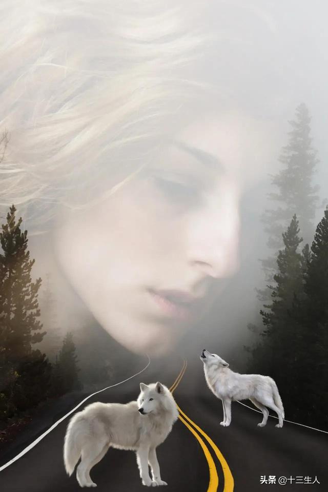 流量岁月里最美的一百首诗歌,献给擦肩而去的2020