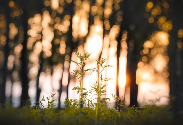两性交往时，多跟女生聊这些话题，有助于拉近彼此间距离
