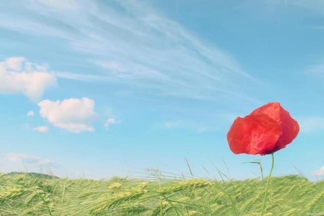 判断一个女人是否爱干净，看她家里这3个地方就够了，藏不住的