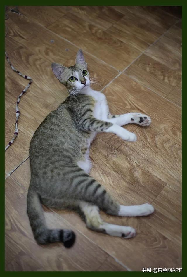 一个陌生女人的来信