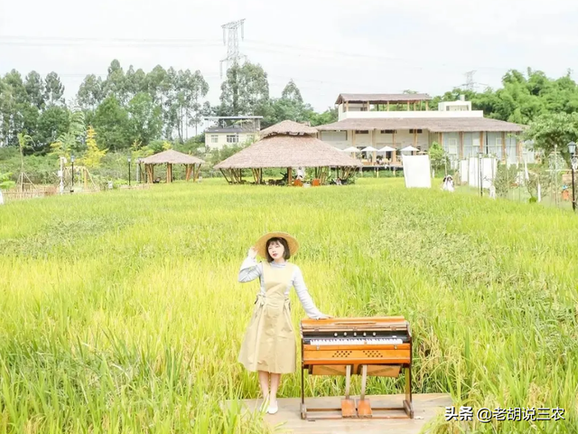 颜值时代，能够火的不单单只有美女，农场靠颜值也能火