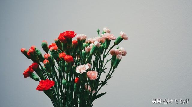 女人过了50岁，还会找男人，真实的原因可能是以下三个