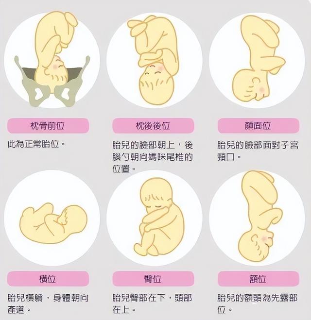 与动物相比，为什么人类女性生孩子如此困难？