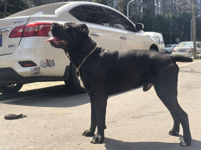 98年美国女子在家赤裸身亡，留下180处伤口，一张照片成破案关键