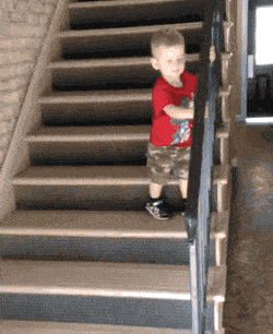 超级搞笑gif动图美女动物笑图10张