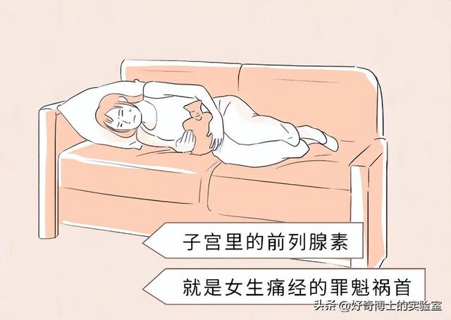 女性的身体，到底有多少不合理的地方？