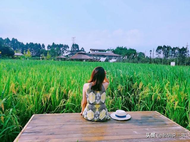 颜值时代，能够火的不单单只有美女，农场靠颜值也能火