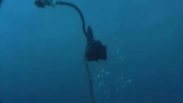 一次偷欢赎回一个琴键，一场刺激的交易，新婚美人意外遇到真爱