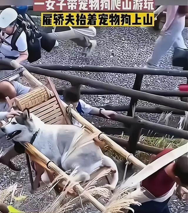 越南新娘,13万就被卖给45岁粗汉,要往娘家偷寄钱,细扒一言难尽