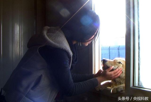 一位女画家的人狼情缘