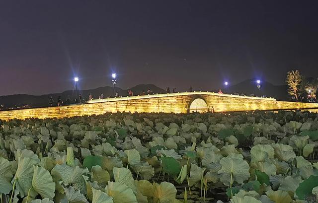 来电狂响:戴着镣铐起舞的众生情感生活,全被这部电影给拍出来了