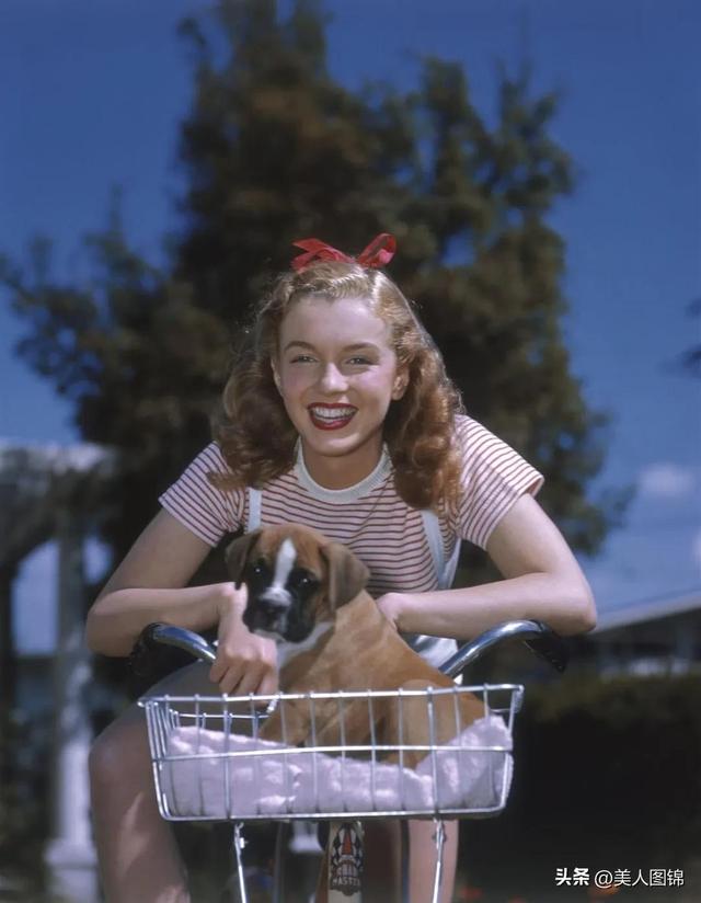 性感女神～好莱坞美女玛丽莲.梦露(上)