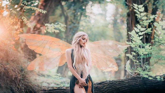 小说:女人如老虎,小女人也是老虎……