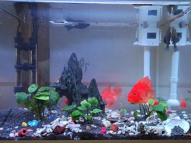 对面的女孩看过来