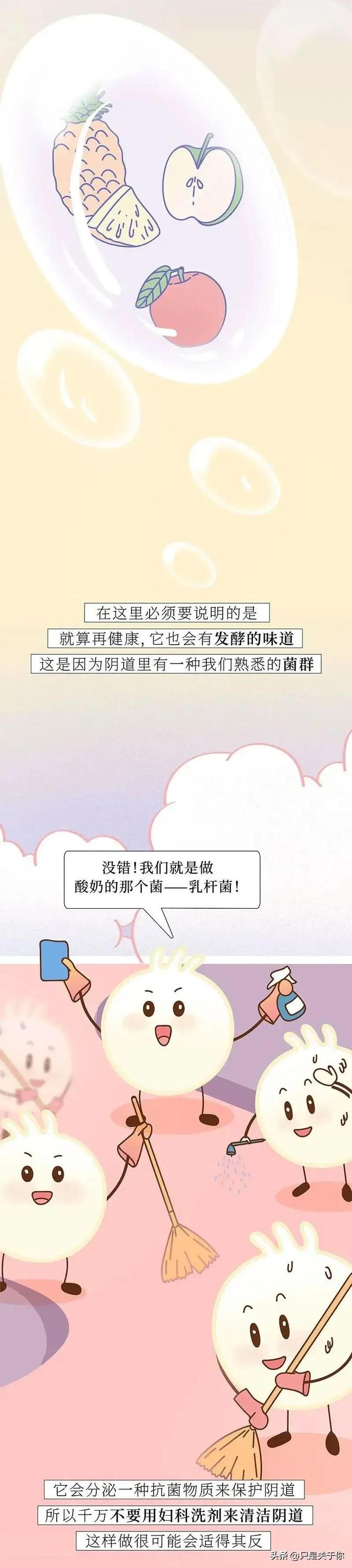 这是一篇关于女生阴道的科普漫画！