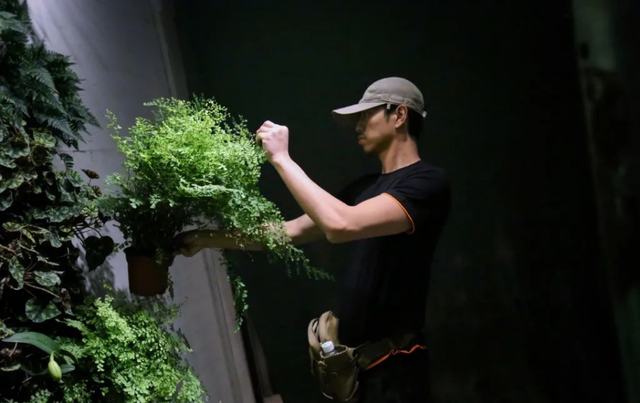 时隔8年，他凭啥再度“封神”？