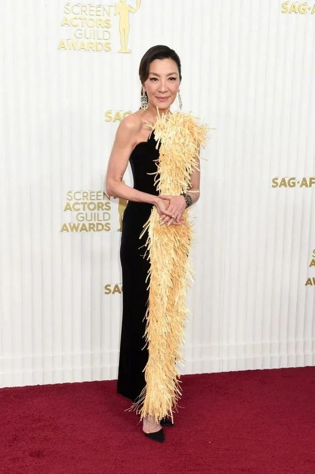 美国这一夜，国际女星风情万种，有人保守有人真大胆，但都不怕冷