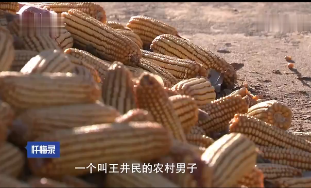 2015年,一个女人和两个男人同居!混乱的关系酿成惨案