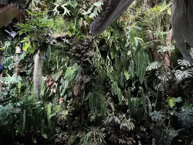 时隔8年，他凭啥再度“封神”？