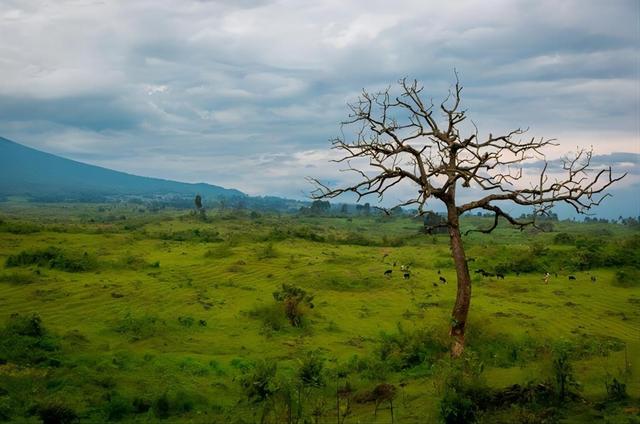 “男士见我，要亲吻我的右脚。”北京女孩王维丽成非洲女王，牛！