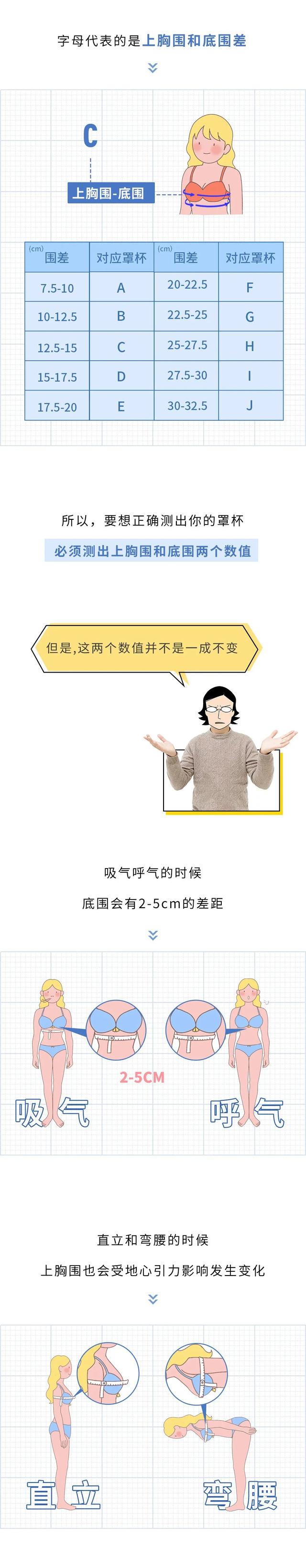 女生如何正确计算胸部的罩杯?