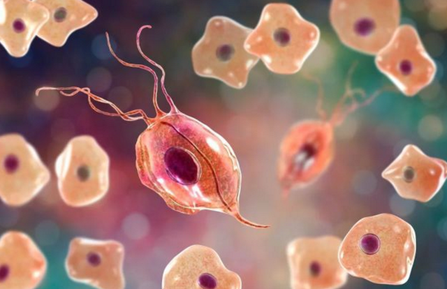 女性的内裤有分泌物，是怎么回事？别害羞，这些异常尽早了解