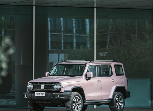 最适合女生使用的越野车，外观粉嫩颜值高，配2.0T发动机