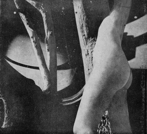 胸口有窗子的裸体女人