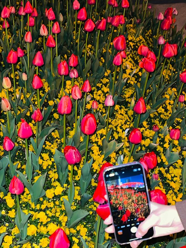 高清美女头像｜清纯可爱有活力