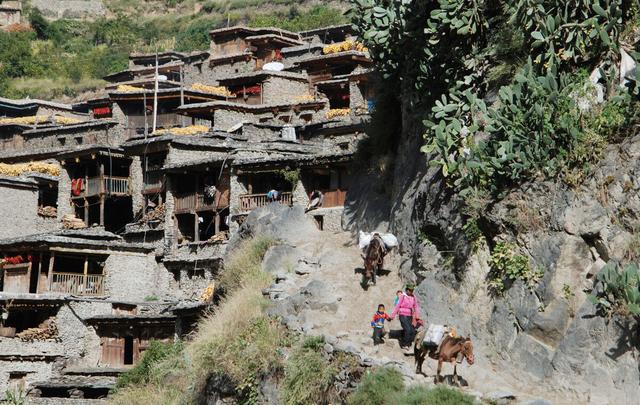 四川最后的伙婚村落,近一半人家都是一妻多夫,他们如何生活?