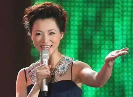 央视10大美女主持人,个个才貌双全,董卿知性,海霞端庄