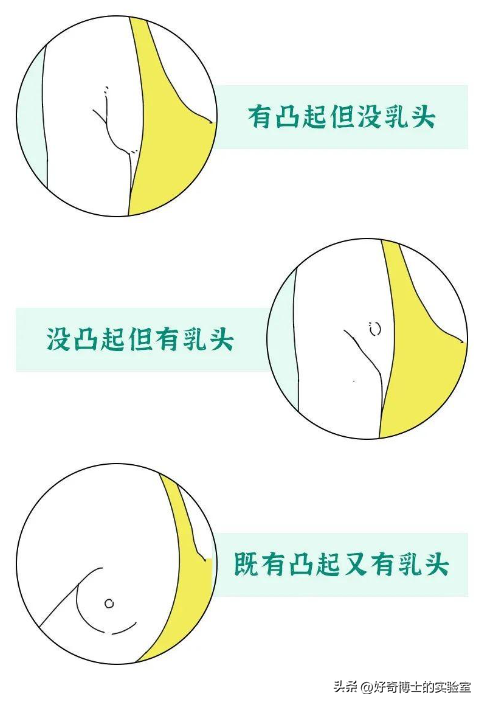 女性的身体，到底有多少不合理的地方？