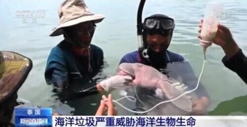 触目惊心！泰国某海域海底珊瑚被大片渔网覆盖