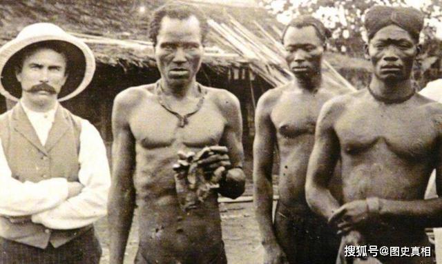 找茬游戏：今天轮到棉花了？