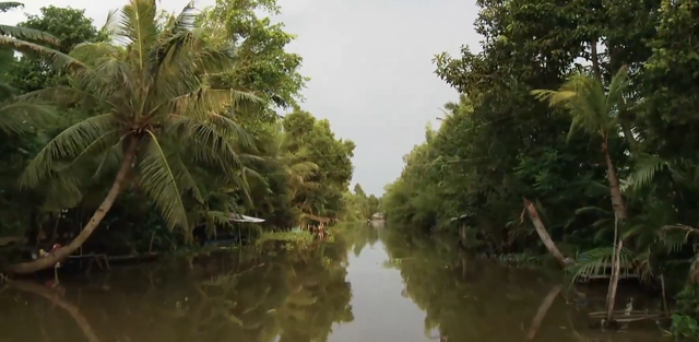 越南新娘,13万就被卖给45岁粗汉,要往娘家偷寄钱,细扒一言难尽