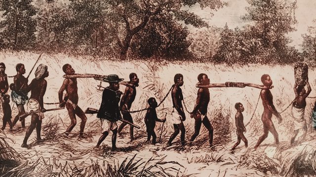 找茬游戏：今天轮到棉花了？