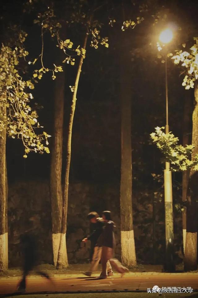 夜色撩人，怎得一个“好”字了得