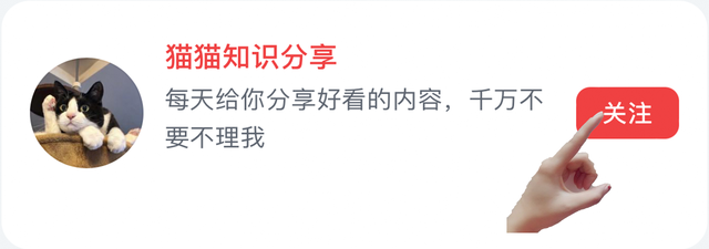 女人都是怎么怀上孩子的?