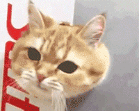 当二十不惑遇上肿瘤！这种病越来越“青睐”年轻女性了