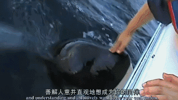 一位47岁美女的受虐实录