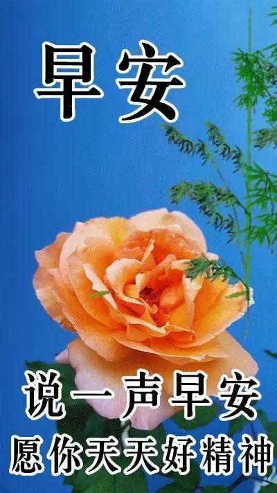 早安图文分享：微笑一下给自己加油打气